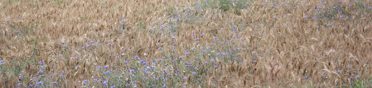 Parco Naturale del Lago di Candia